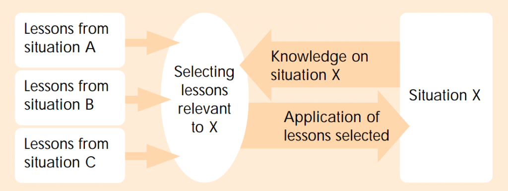 Borton role of the expert