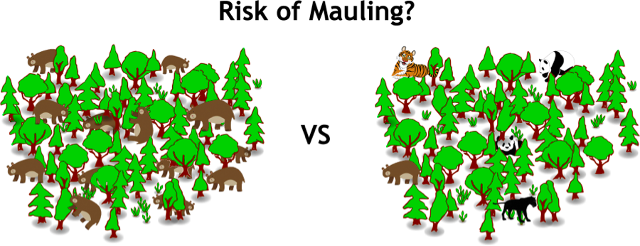 mauling-in-forest